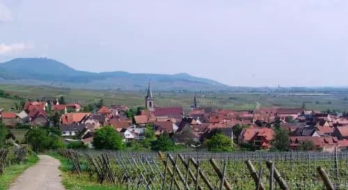 Gîtes Marschall Jean-Pierre - Photo 2