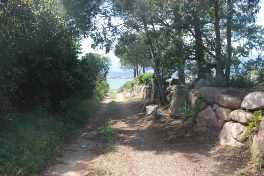 T3 Rez De Jardin Ã€ Porto Vecchio - Photo 2