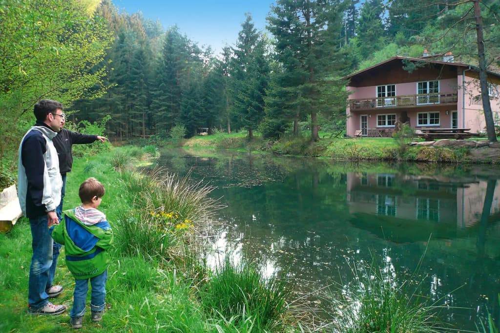 Apartment in Alsace With Nature Retreat - Photo 5