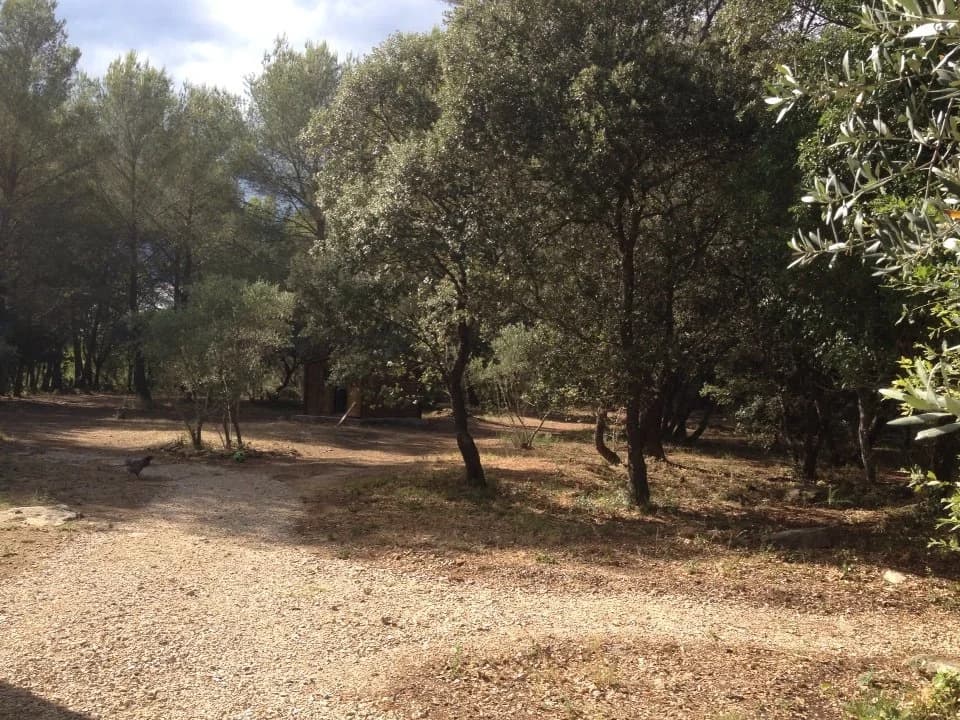 Le Domaine d'Alèzen - Miniature 6