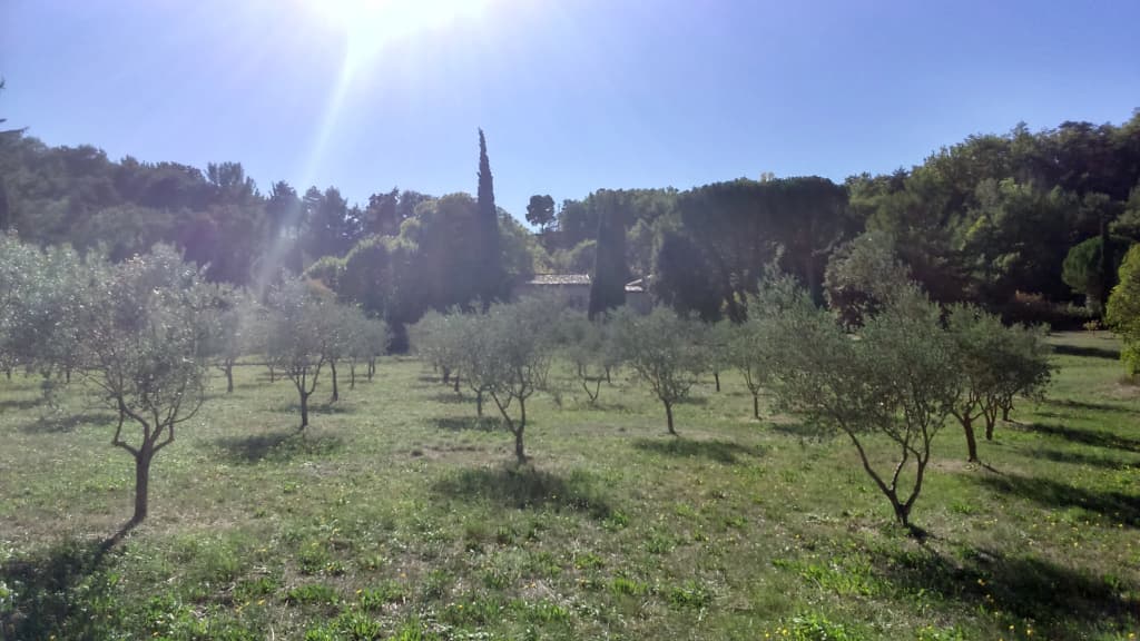 Mas De Cocagne En Provence Guest House - Miniature 7