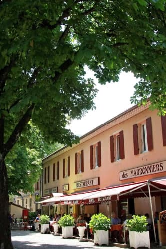 Hôtel - Restaurant les Marronniers
