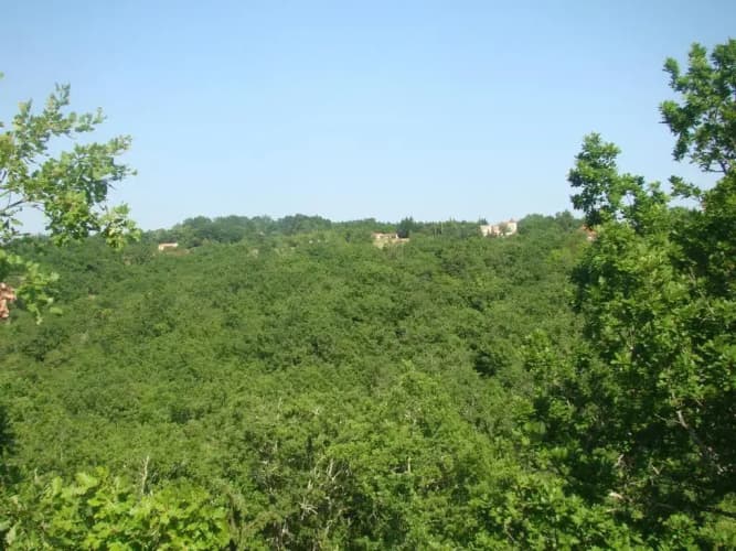CAMPING LES GRAVES - Cabane TITHOME