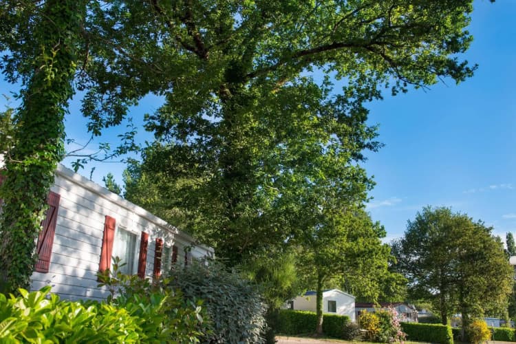 Camping Domaine de Kerlann