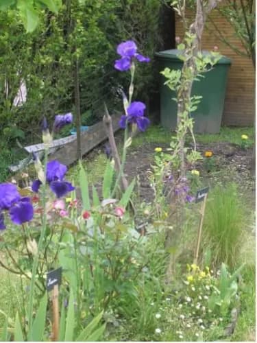 Monts Petit Jardin