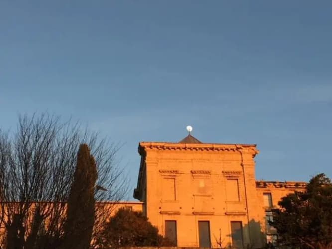La Maison des Oiseaux