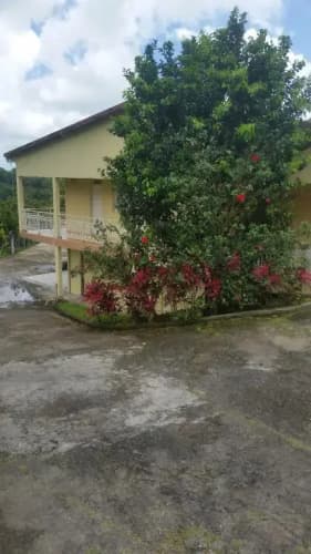 L'Oliveraie