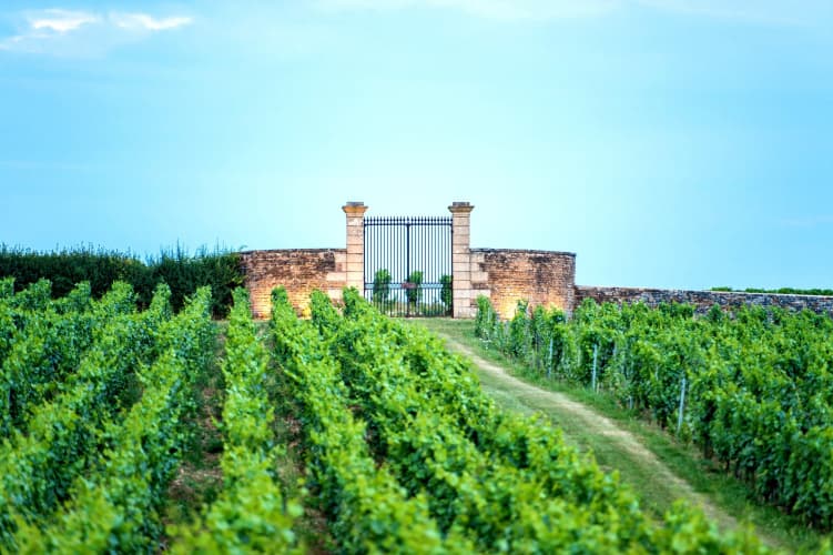 Teritoria le Château de Besseuil