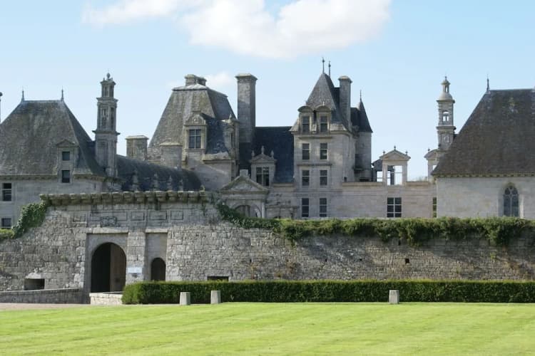 La Canopée des pins