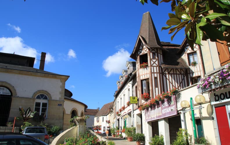 Logis Hôtel Du Dauphin