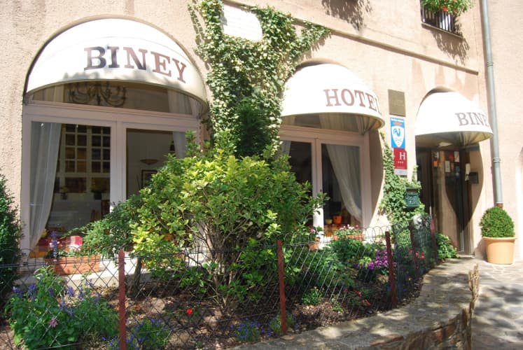 Hotel Biney