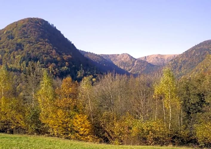 Chambres d'hôtes Les Cigognes