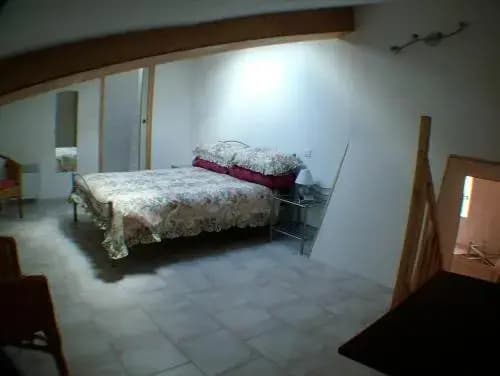 La Maison des Grands Bambous - Photo 1