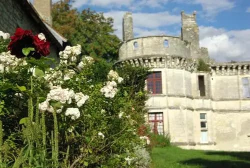 Château de Veuil - Photo 1