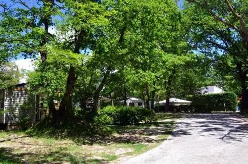 Domaine de la Coronne *** - Photo 1