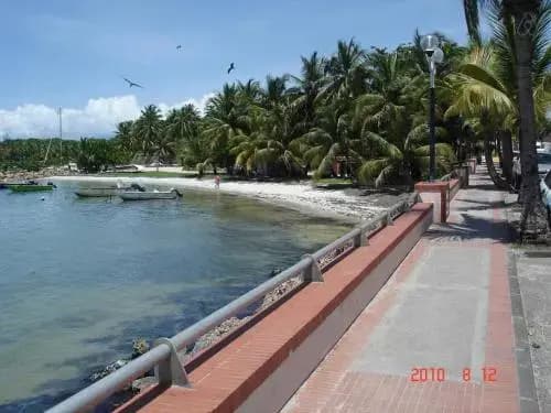 Location Les Flamboyants - Photo 1