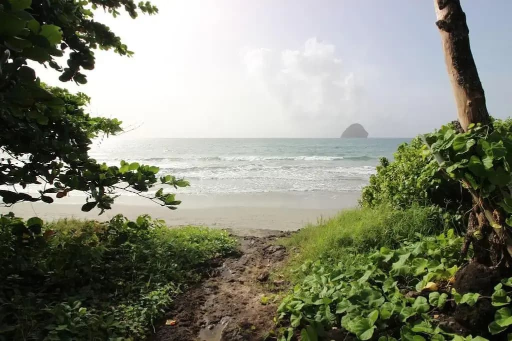 Le Diamant d'Océane, à 50 m de la plage - Photo 1
