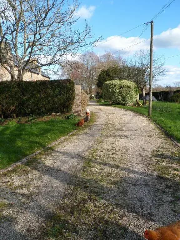 Farmhouse in an amazing private park - Photo 1
