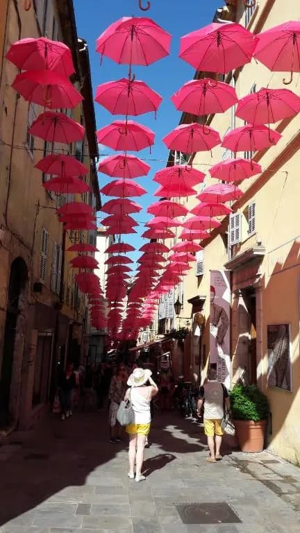 La Rose des Vents - Photo 1