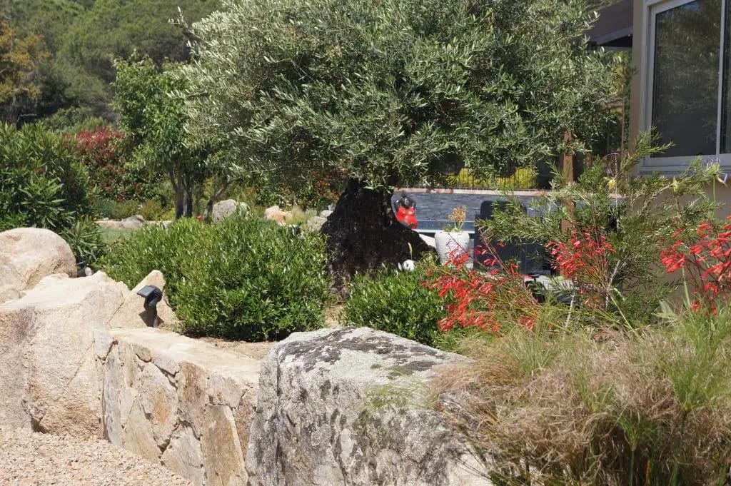 Les Jardins De Santa Giulia - Charmante chambre d'hôte 2 - Photo 1