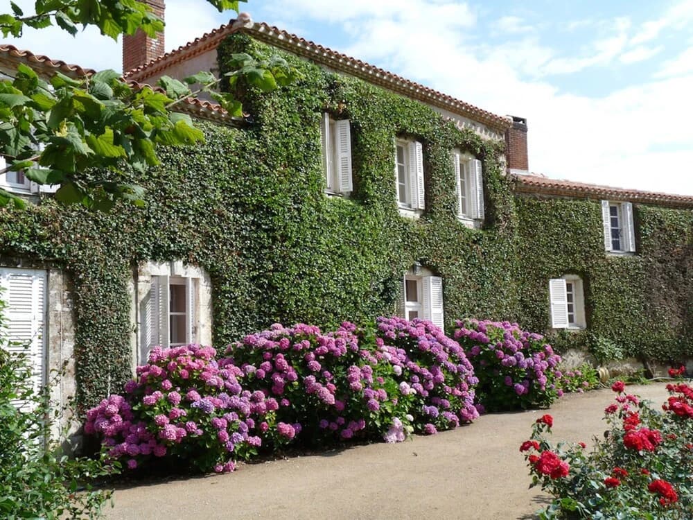 Le Manoir du Verger - Photo 1