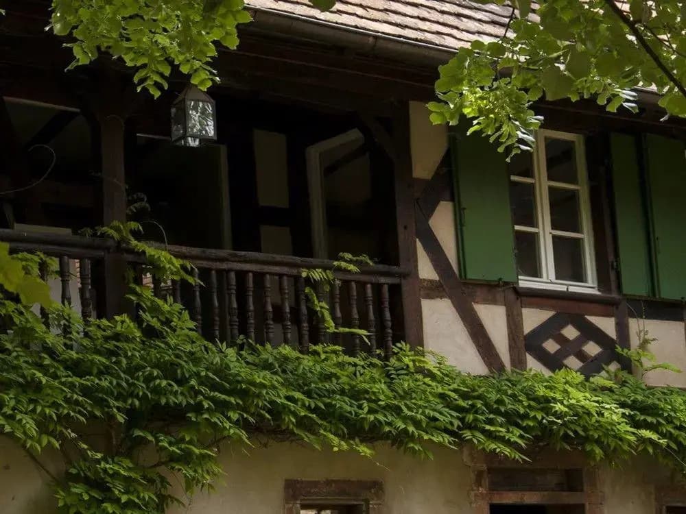 Unter der Linde - Photo 1