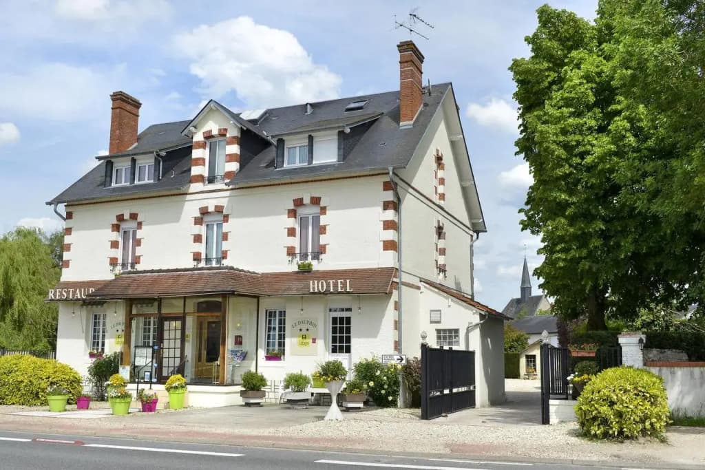 Logis Hotels Restaurant Le Dauphin - Photo 1