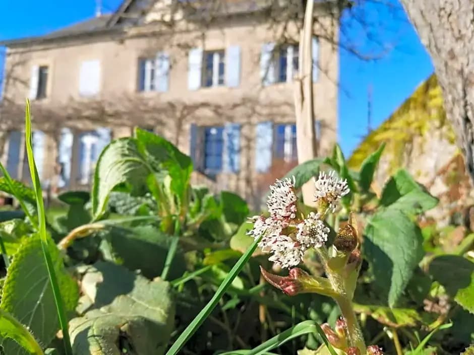 Le Temps Serein - Photo 1
