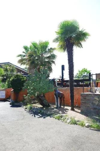 Hôtel Le Banana's - Auberge du Corsigliese - Photo 1