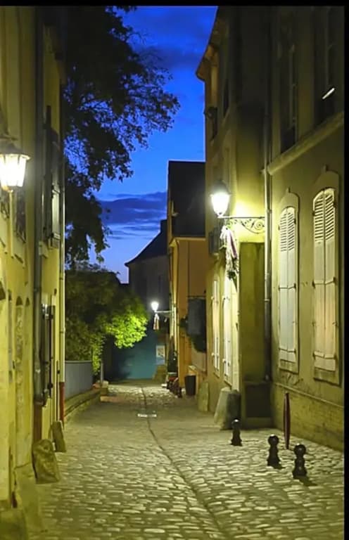 Logis Saint-Flaceau - Photo 1