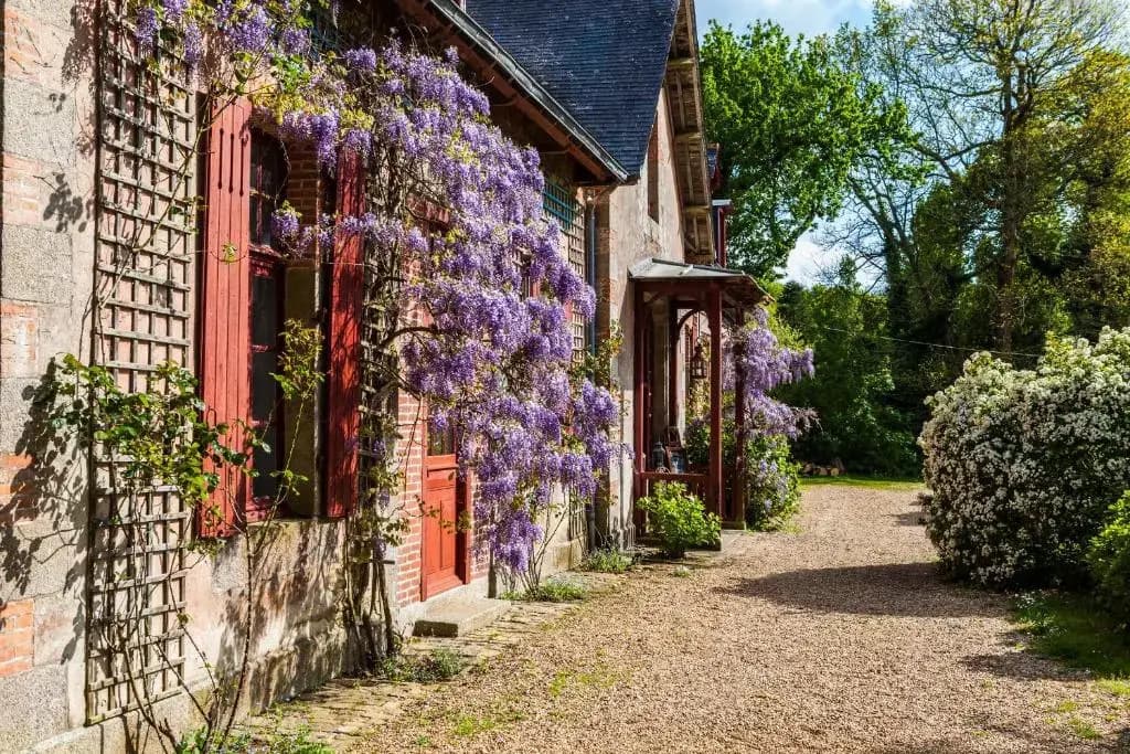 Le Petit Manoir de Keriolet - Photo 1