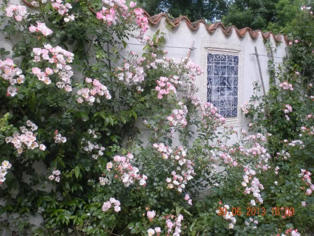 Moulin De Larcy - Photo 1
