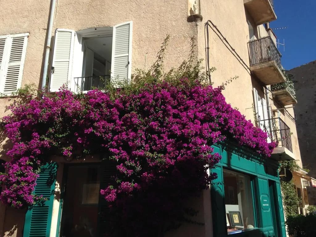 Duplex Citadelle - Photo 1
