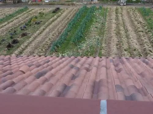 Chambre d'hôte Fleur de Potager - Photo 1