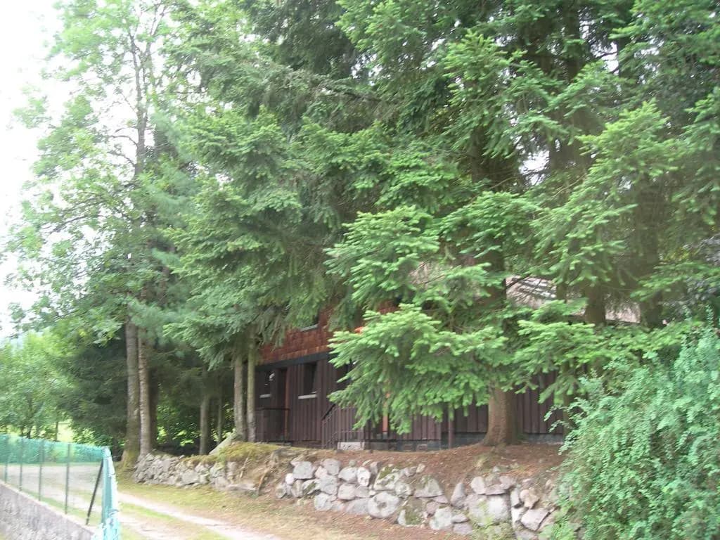 Chalet de la Bresse - Photo 1