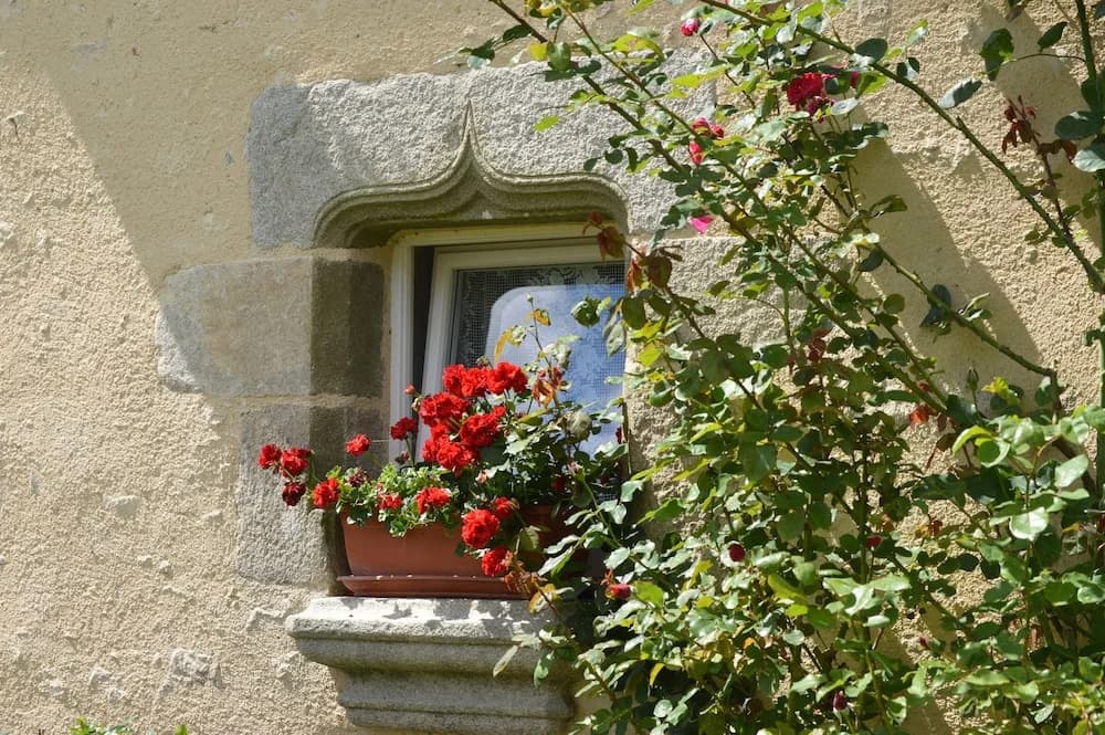 Manoir de Lesplouenan - Photo 1