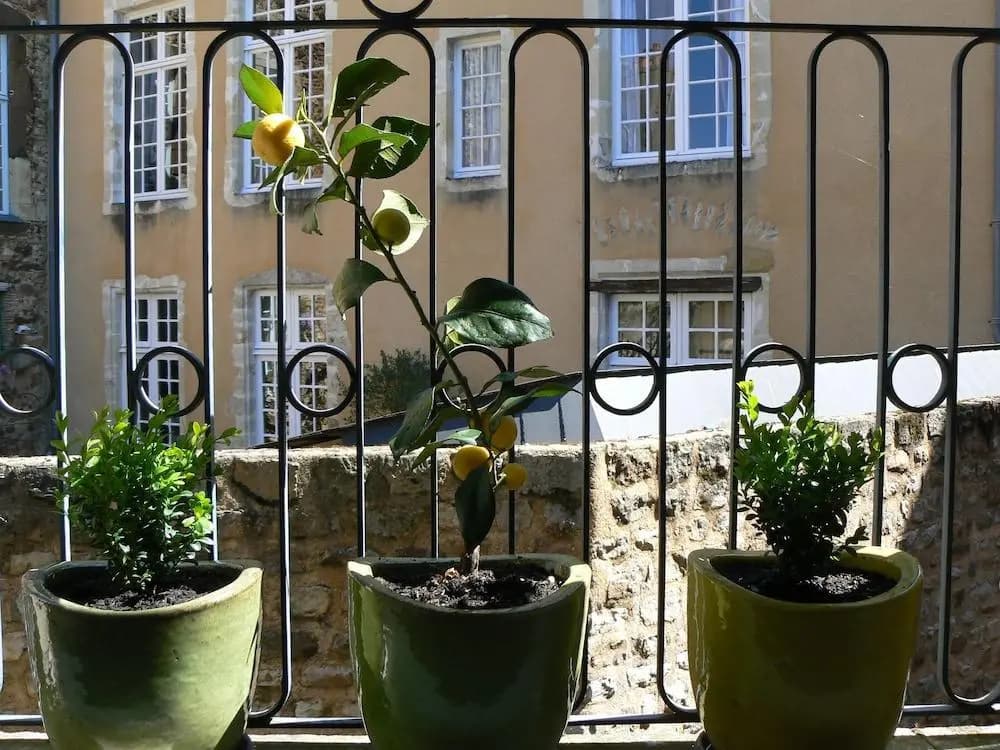 Appartement Relais Saint Pavin - Photo 1