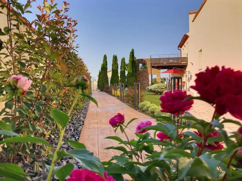 La Catalane - Photo 1