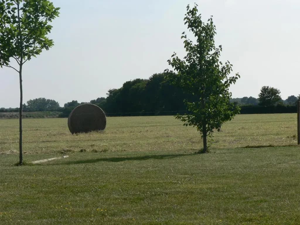 La Mariennaye - Photo 1