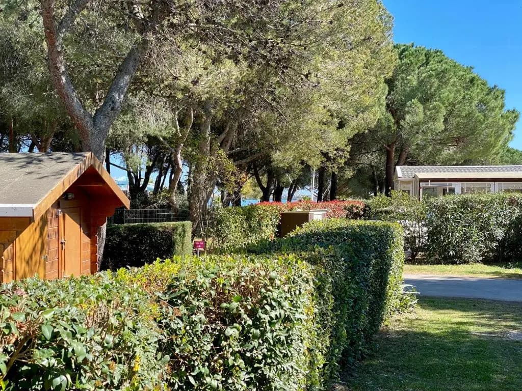 NEW Jungle Lake - Clim - WIFI - Draps & serviettes - BBQ - 10' des plages - Photo 1