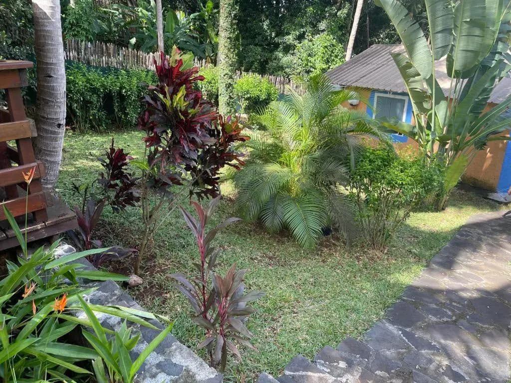 Bungalows Amarante - Photo 1