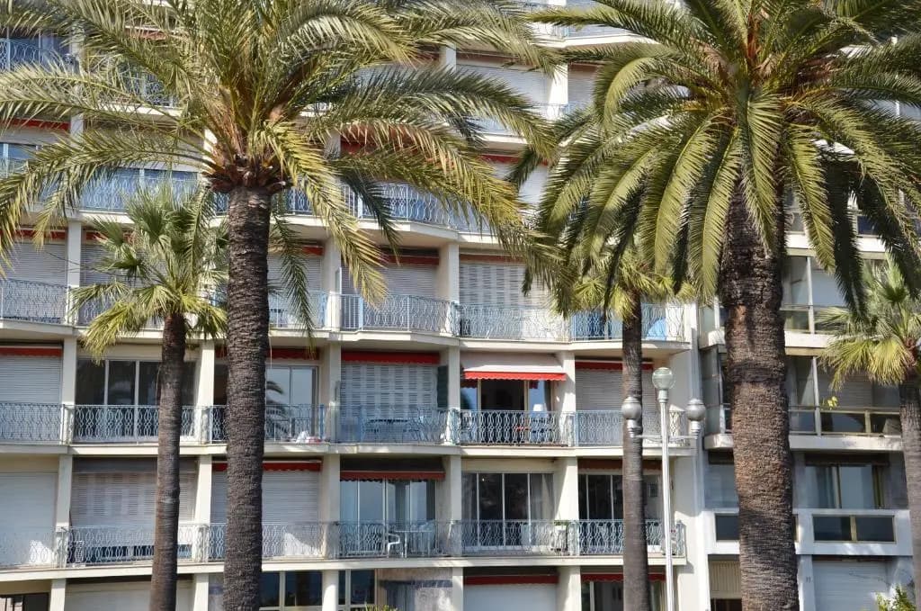 Le Grand Sud - Photo 1