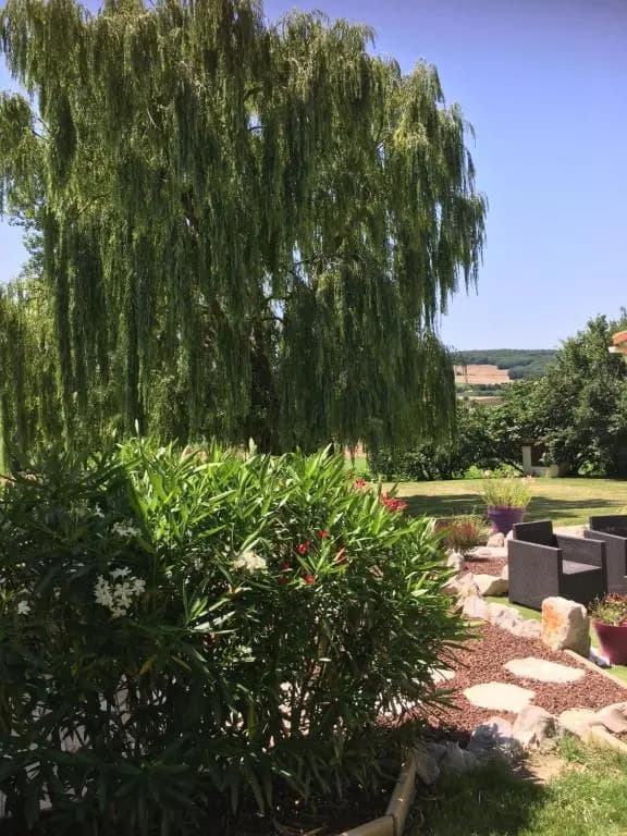 Domaine de la Vigne - Photo 1