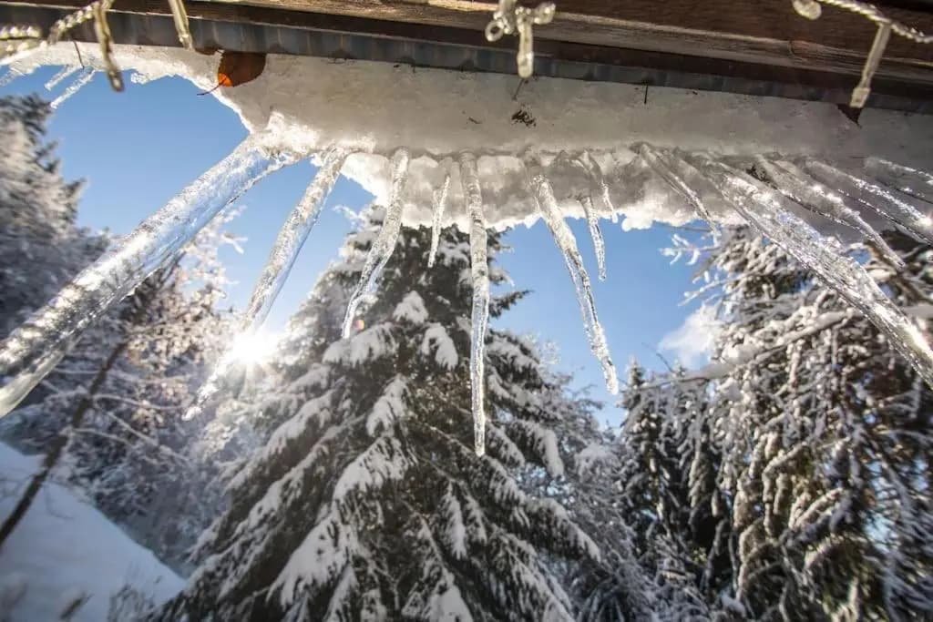 Chalet F'Net - Photo 1