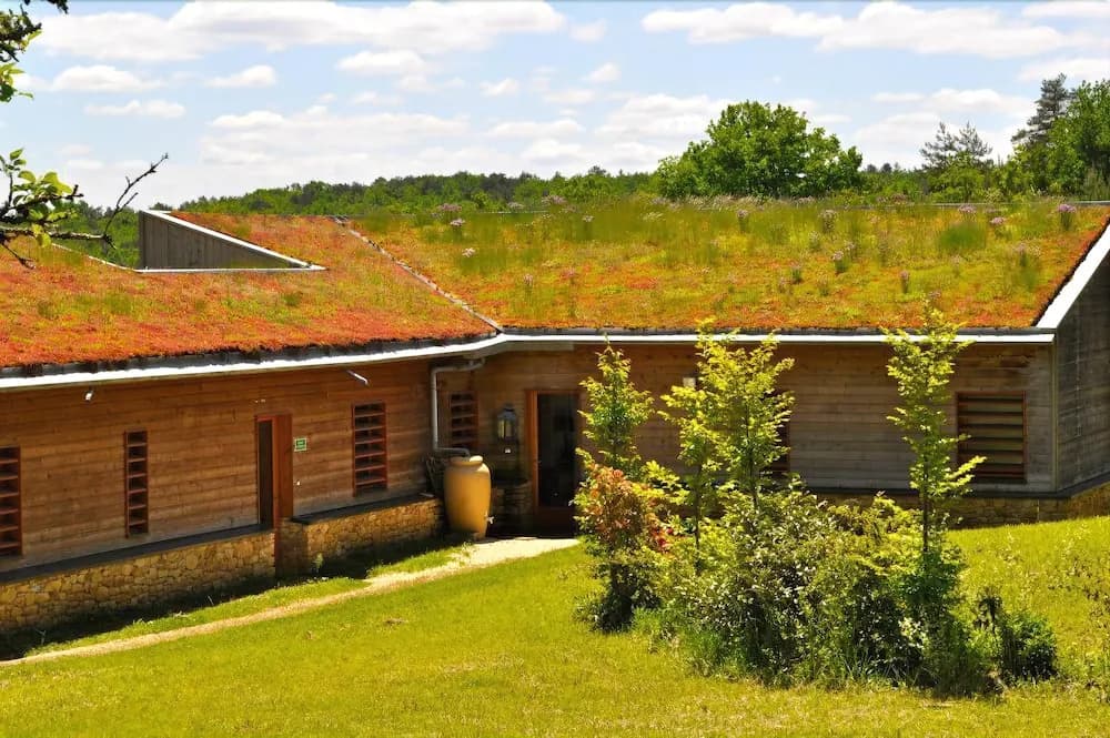 Domaine des Bories - Photo 1