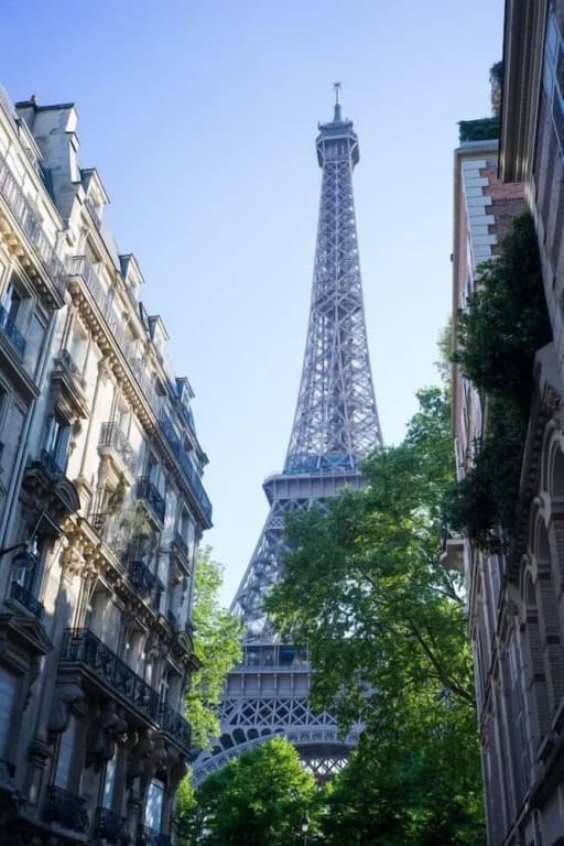 Miss Eiffel Tower - Photo 1