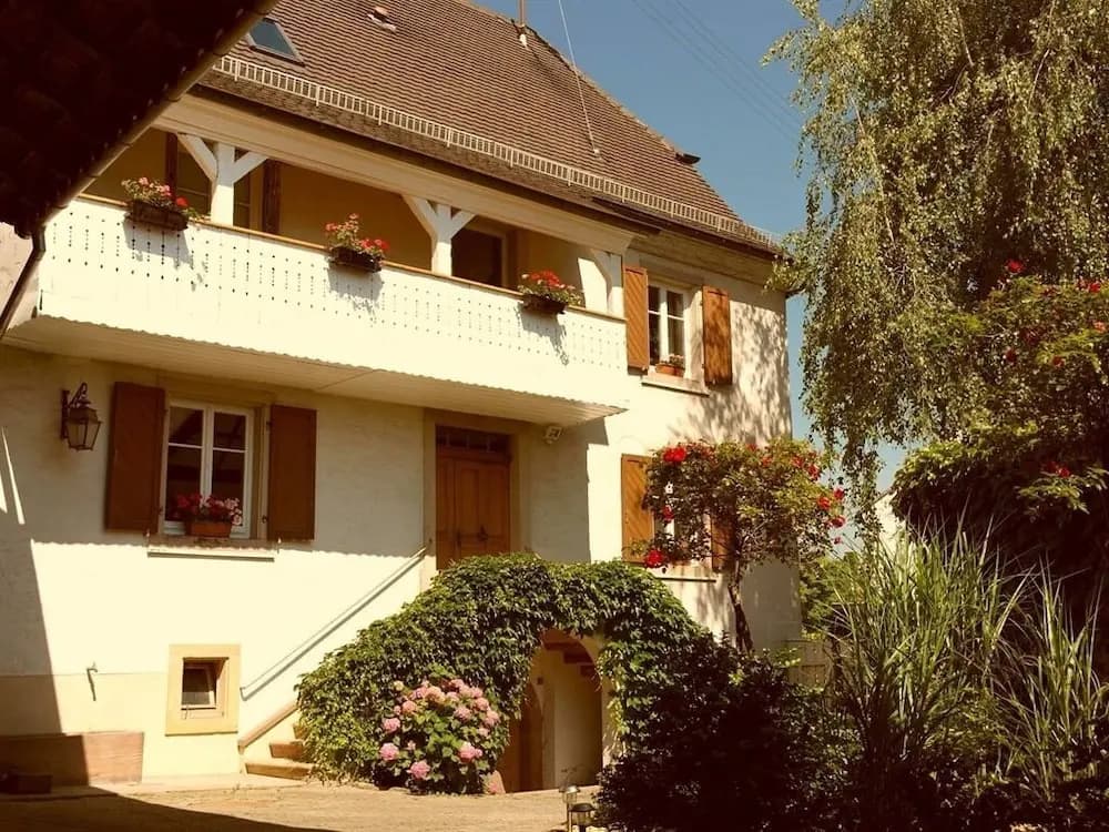 La Vieille Vigne - Photo 1