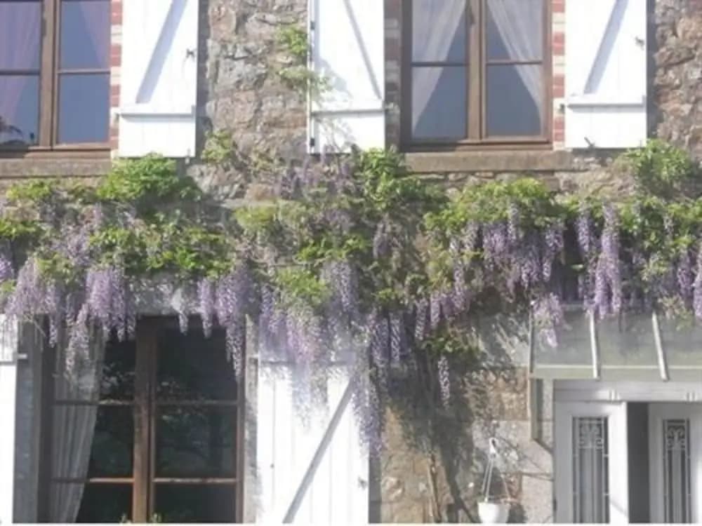 Le Jardin Bed and Breakfast - Photo 1