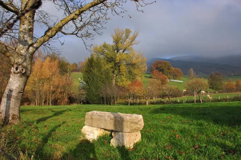 Terres de la Grange - Photo 1