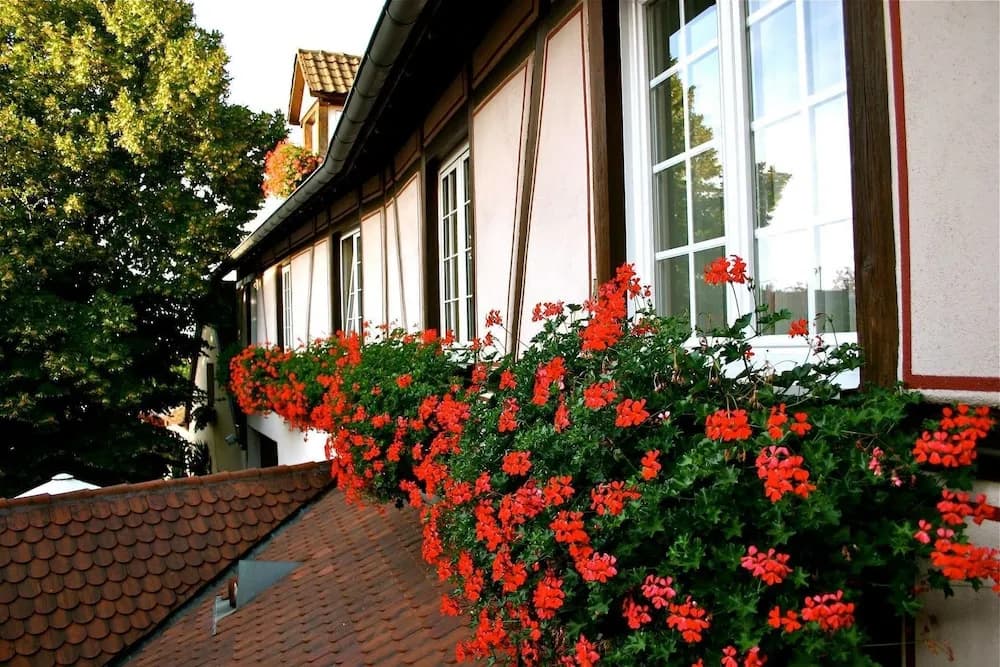 Hôtel Restaurant Groff Aux Deux Clefs - Photo 1